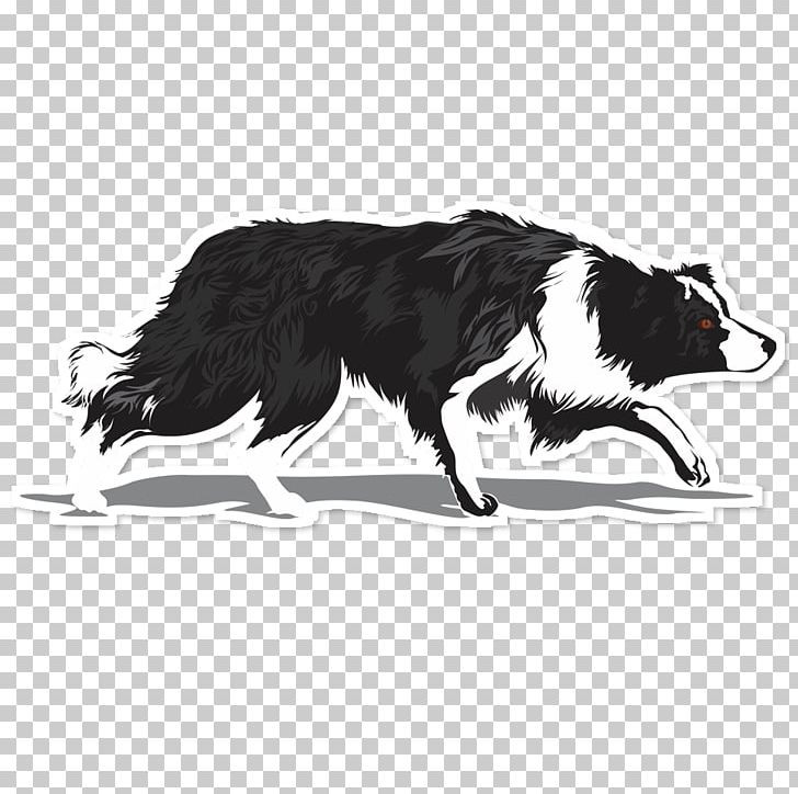 Border Collie Rough Collie Dog Breed Chihuahua Herding Dog PNG, Clipart, Animal, Art, Black And White, Border Collie, Breed Free PNG Download