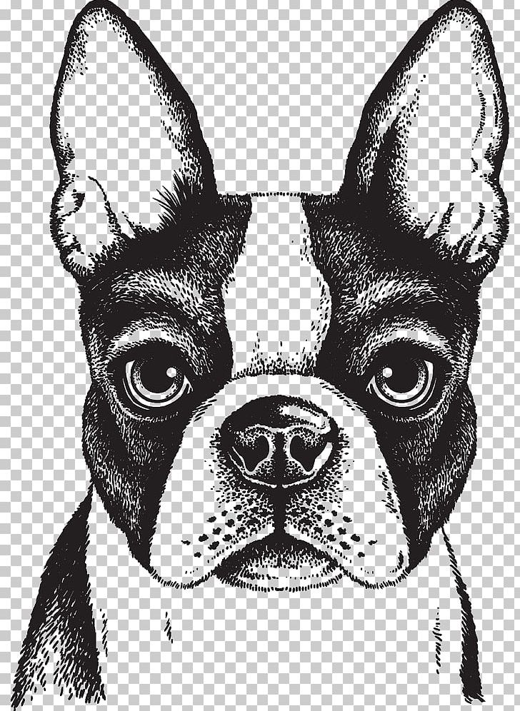 Boston Terrier French Bulldog Puppy PNG, Clipart, Animal, Animals, Black, Black And White, Carnivoran Free PNG Download