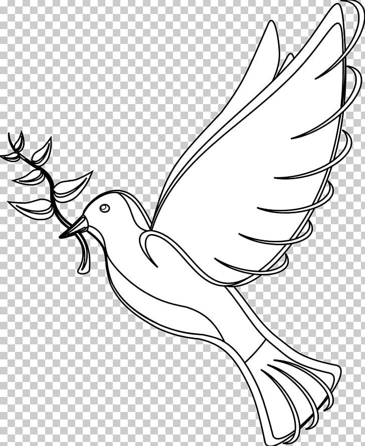 Rock Dove School Day Of Non-violence And Peace Drawing PNG, Clipart, Art, Artwork, Bird, Branch, Chicken Free PNG Download