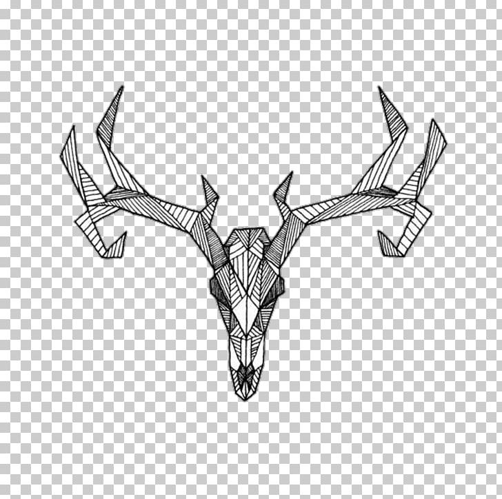 White-tailed Deer Antler Moose Red Deer PNG, Clipart, Angle, Animals, Automotive Design, Black And White, Deer Free PNG Download
