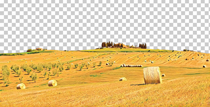 Hay Field Straw Farm Agriculture PNG, Clipart, Agriculture, Cash Crop, Crop, Ecoregion, Farm Free PNG Download