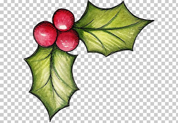Christmas Mistletoe PNG, Clipart, Aquifoliaceae, Candy Cane, Christmas, Coloring Book, Decoupage Free PNG Download