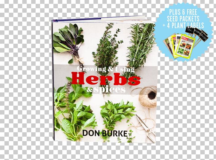Herbalism Vegetable Plant Tree PNG, Clipart,  Free PNG Download