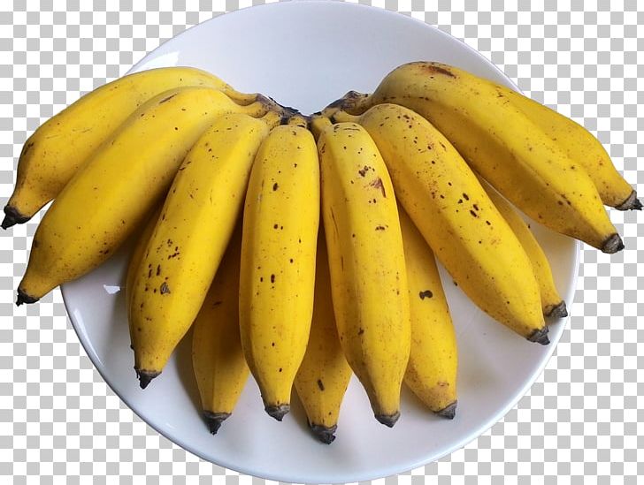 Saba Banana Cooking Banana Food Recipe PNG, Clipart, Banana, Banana Family, Coconut, Cooking, Cooking Banana Free PNG Download