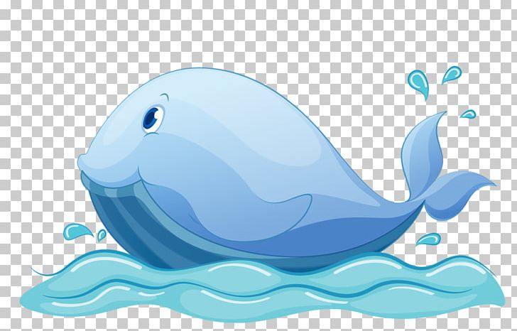 Cartoon Whale Illustration PNG, Clipart, Animals, Aqua, Aquatic Animal, Blue, Blue Border Free PNG Download