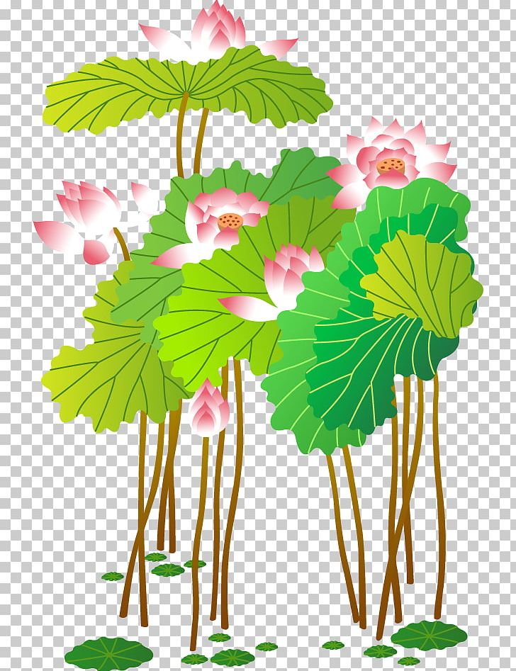 Nelumbo Nucifera Euclidean Adobe Illustrator PNG, Clipart, Branch, Decorative Patterns, Element, Flora, Flower Free PNG Download