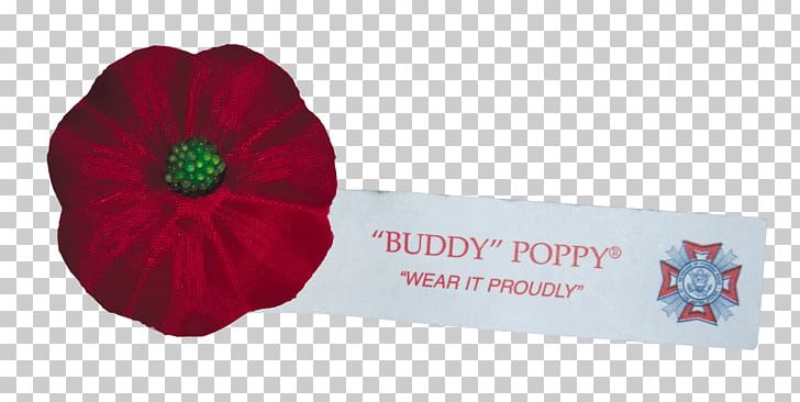 Poppy Veterans Of Foreign Wars Organization Flower PNG, Clipart, Blog, Digital Media, Flower, Flowering Plant, Headquarters Free PNG Download
