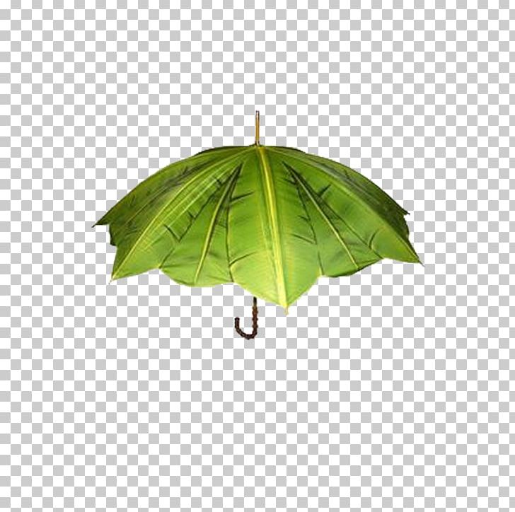 Umbrella Creativity Designer PNG, Clipart, Art, Banana Leaf, Beach Umbrella, Black Umbrella, Creative Free PNG Download