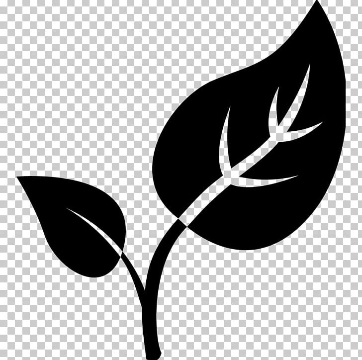 Computer Icons Natural Environment Leaf PNG, Clipart, Black And White, Branch, Computer Icons, Computer Wallpaper, Flora Free PNG Download