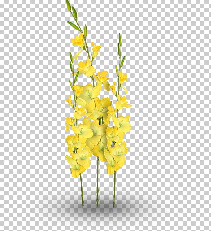 Floral Design Cut Flowers Plant Stem PNG, Clipart, 20 March, Agave, Animaatio, Aquarium Decor, Author Free PNG Download