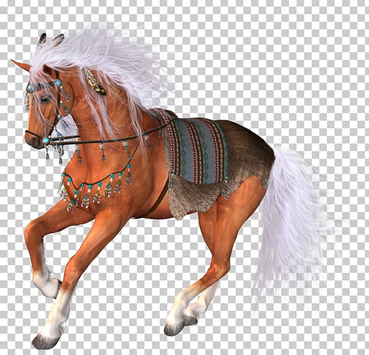 Horse PhotoScape PNG, Clipart, Animal, Animal Figure, Animals, At Resimleri, Bridle Free PNG Download