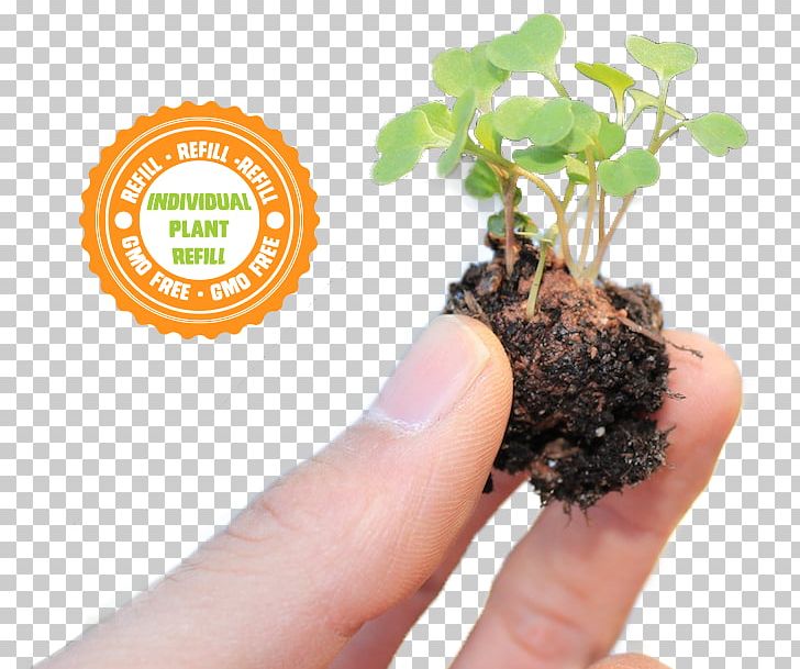 The Non-GMO Project Genetically Modified Organism Soil Germination Seed PNG, Clipart, Clay, Compost, Flower, Flowerpot, Genetically Modified Organism Free PNG Download