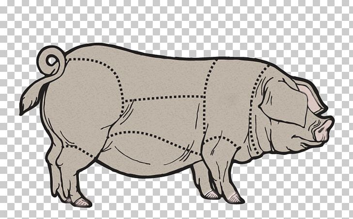 Domestic Pig Cattle Cut Of Pork PNG, Clipart, Animals, Beef, Butcher, Canidae, Cattle Free PNG Download