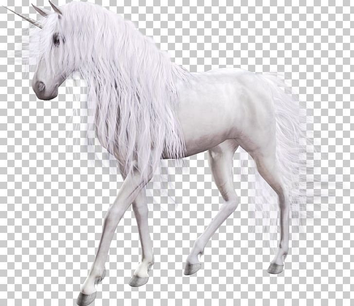 The Black Unicorn Horse Pegasus PNG, Clipart, Animal Figure, Black Unicorn, Fairy Tale, Fantasy, Fictional Character Free PNG Download