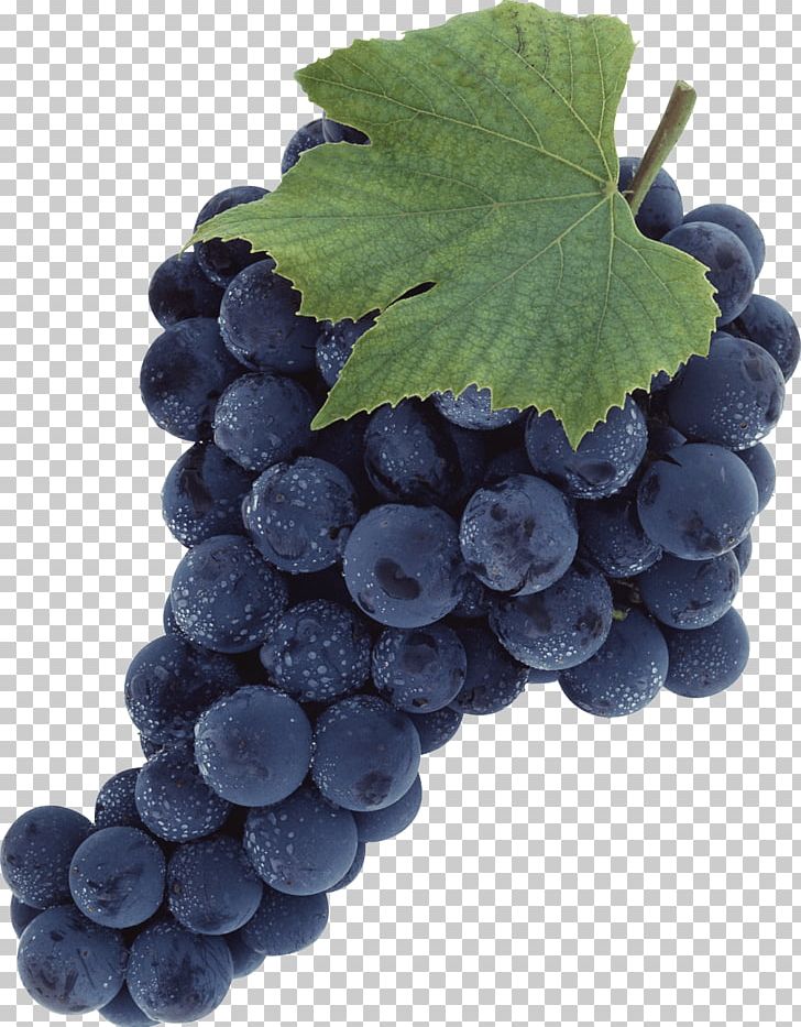 Grape PNG, Clipart, Berry, Bilberry, Blueberry, Common Grape Vine, Fit Free PNG Download