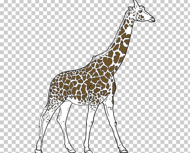 Youre Avin A Giraffe Amazon.com PNG, Clipart, Amazoncom, Animal, Animal Wildlife Cliparts, Art, Black And White Free PNG Download