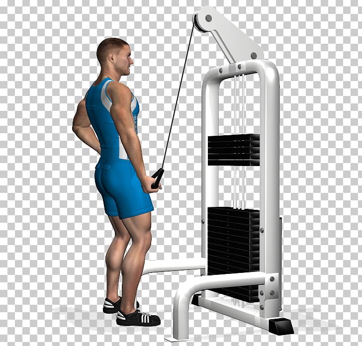 Pushdown Triceps Brachii Muscle Lying Triceps Extensions Bench Dumbbell PNG, Clipart, Arm, Balance, Barbell, Bench, Bench Press Free PNG Download