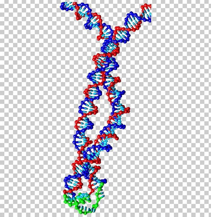 Human Body Body Jewellery Necklace DNA PNG, Clipart, Art, Body Jewellery, Body Jewelry, Computer, Dna Free PNG Download