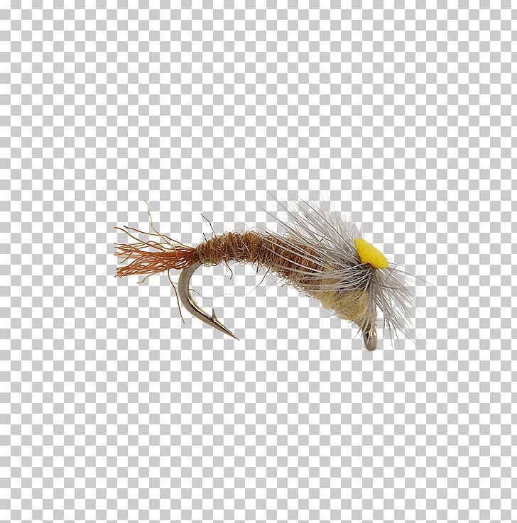 Insect Artificial Fly PNG, Clipart, Artificial Fly, Fly, Fly Tying, Insect, Invertebrate Free PNG Download