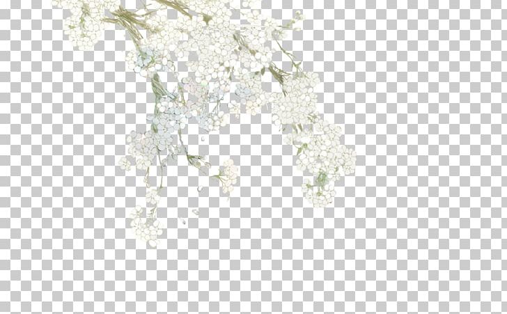 White Flower PNG, Clipart, Chart, Design, Download, Floor, Flooring Free PNG Download