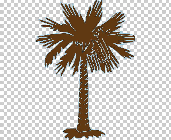 Sabal Palm Flag Of South Carolina Arecaceae Tree PNG, Clipart, Arecaceae, Arecales, Borassus Flabellifer, Branch, Crescent Free PNG Download