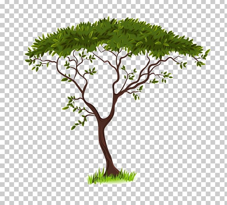 Savanna Silhouette Tree PNG, Clipart, Animals, Bonsai, Branch, Code02 Pretty Pretty, Drawing Free PNG Download