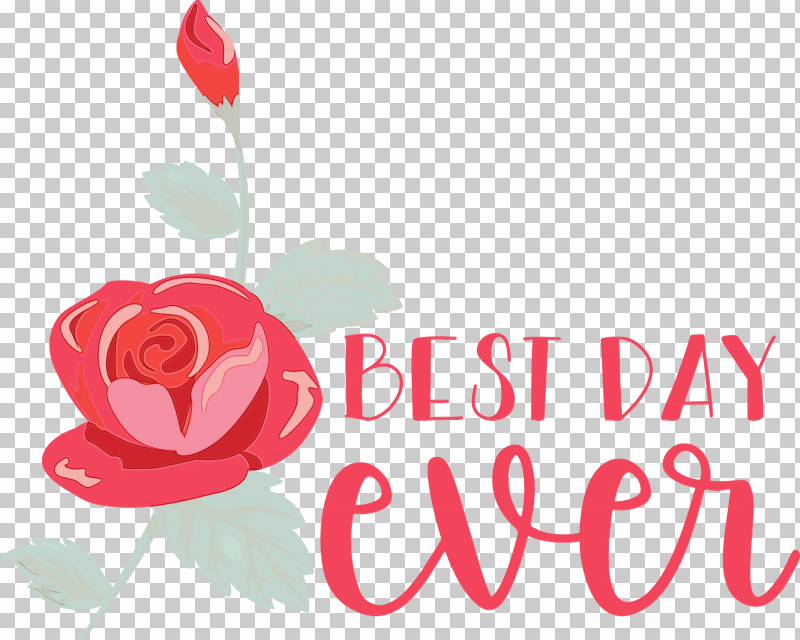 Garden Roses PNG, Clipart, Best Day Ever, Cut Flowers, Floral Design, Flower, Garden Free PNG Download