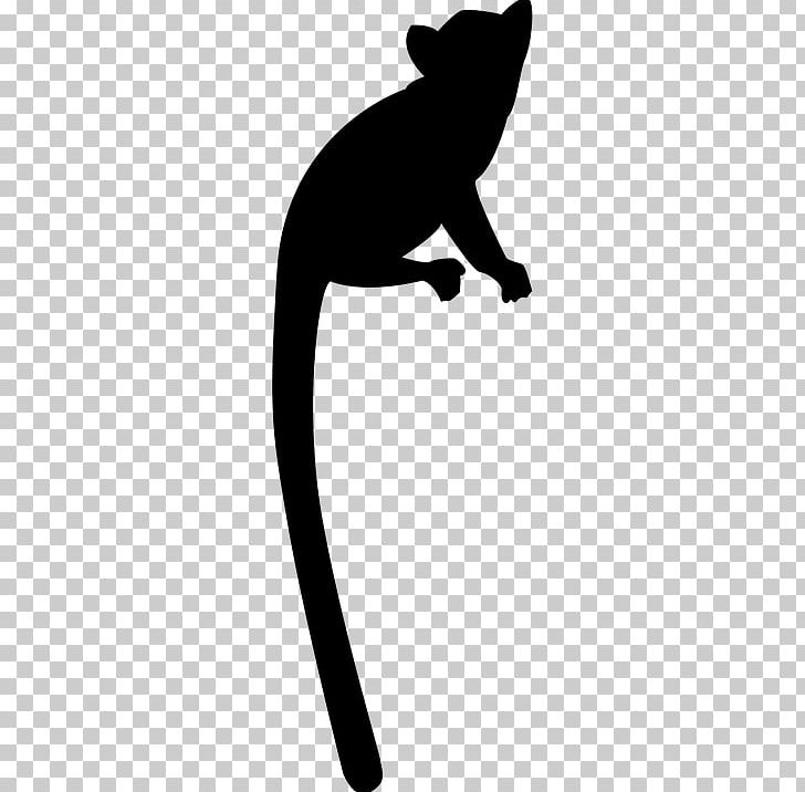 Cat Ring-tailed Lemur Primate PNG, Clipart, Animals, Black, Black And White, Black Lemur, Canidae Free PNG Download