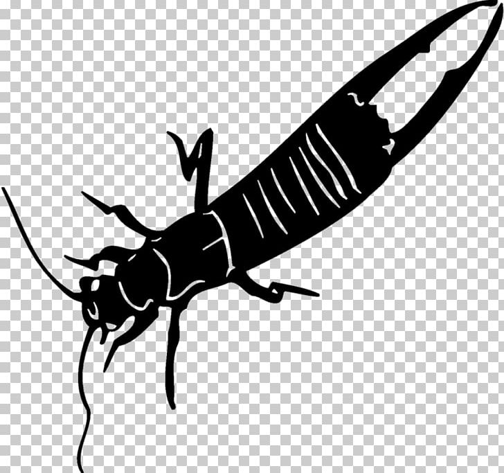 Insect Pollinator White PNG, Clipart, Animals, Arthropod, Black And White, Bug, Fauna Free PNG Download