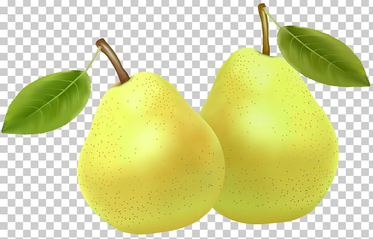 Pear Fruit Clipping Path PNG, Clipart, Blog, Citrus, Clipping Path, Computer Icons, Download Free PNG Download