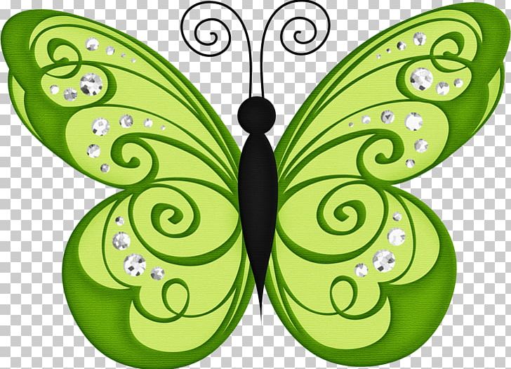 Butterfly Open Green Drawing PNG, Clipart, Bluegreen, Brush Footed Butterfly, Butterflies And Moths, Butterfly, Desktop Wallpaper Free PNG Download