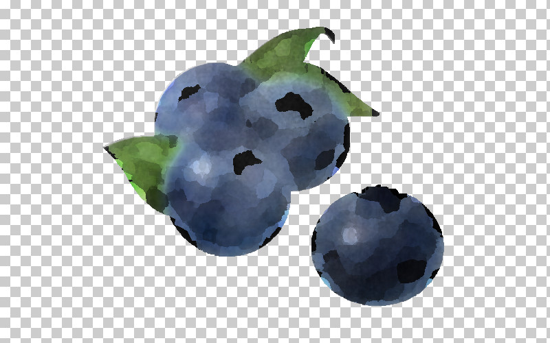 Berry Blueberry Bilberry Fruit Plant PNG, Clipart, Berry, Bilberry, Blackberry, Blueberry, Food Free PNG Download