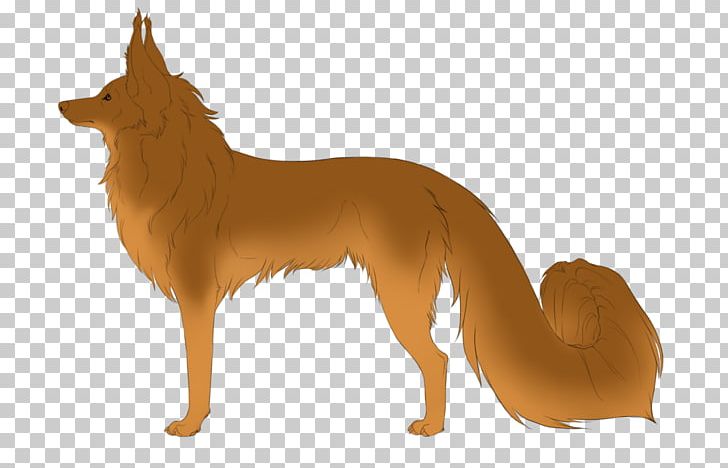 Dog Breed Finnish Spitz Red Fox Dhole Snout PNG, Clipart,  Free PNG Download