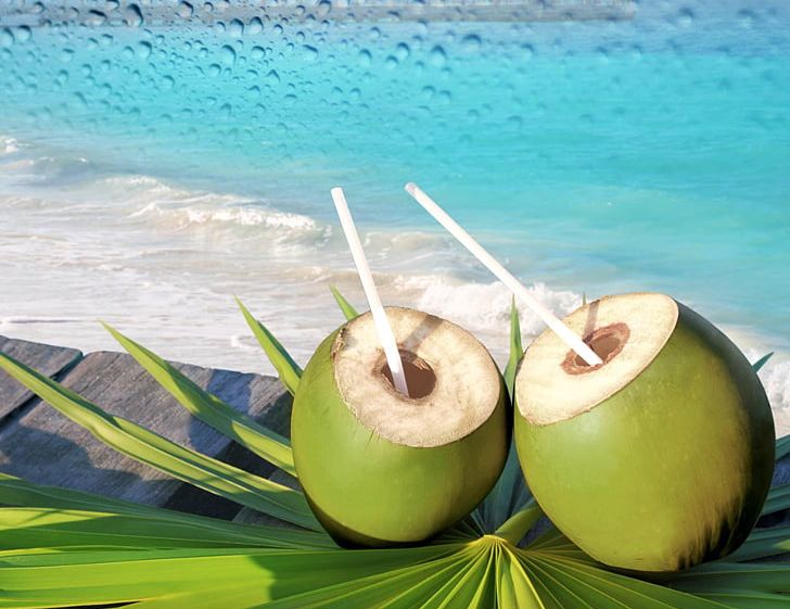 Fizzy Drinks Coconut Water Sports & Energy Drinks Non-alcoholic Drink PNG, Clipart, Coconut, Coconut Water, Drink, Energy Drinks, Fizzy Drinks Free PNG Download
