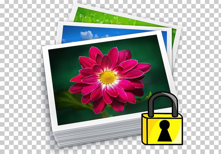 IPhoto Library Aperture Apple Photos MacOS PNG, Clipart, Aperture, App, Apple, Apple Photos, Copying Free PNG Download