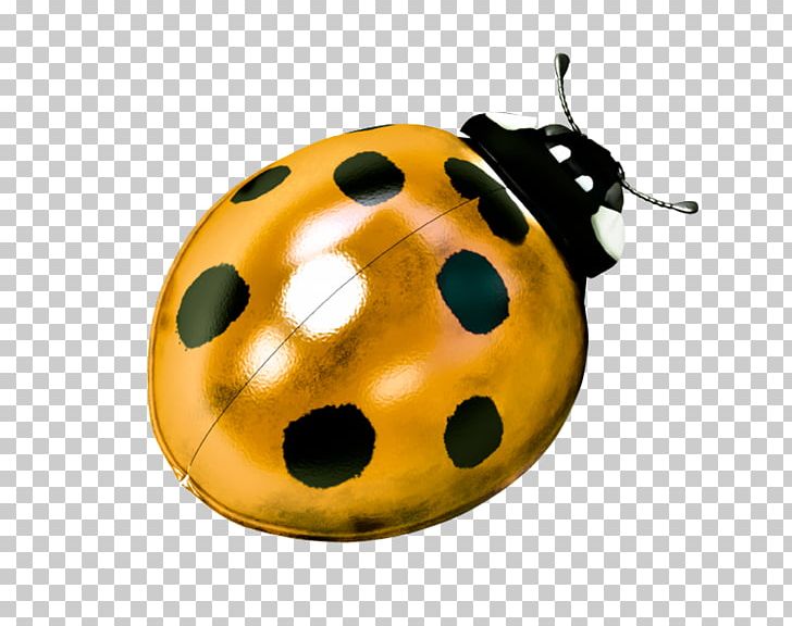 Ladybird Beetle Filmmaking Production Companies PNG, Clipart, Award, Beetle, Comedy, Company, Film Free PNG Download