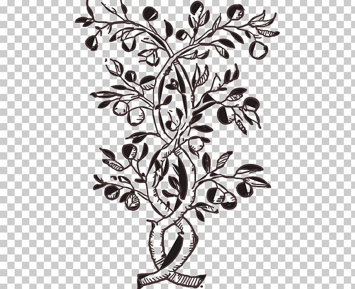 Tree Flower Branch PNG, Clipart, Area, Art, Black, Black And White, Blossom Free PNG Download