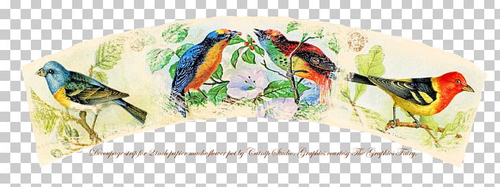 Bird Decoupage Paper PNG, Clipart, Animals, Art, Beak, Bird, Birdcage Free PNG Download