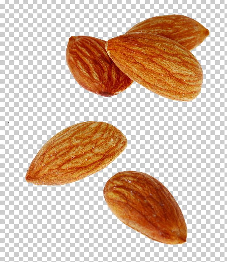 Nut Almond Apricot Kernel Oil PNG, Clipart, Almonds, Cashew, Chinese, Commodity, Float Free PNG Download