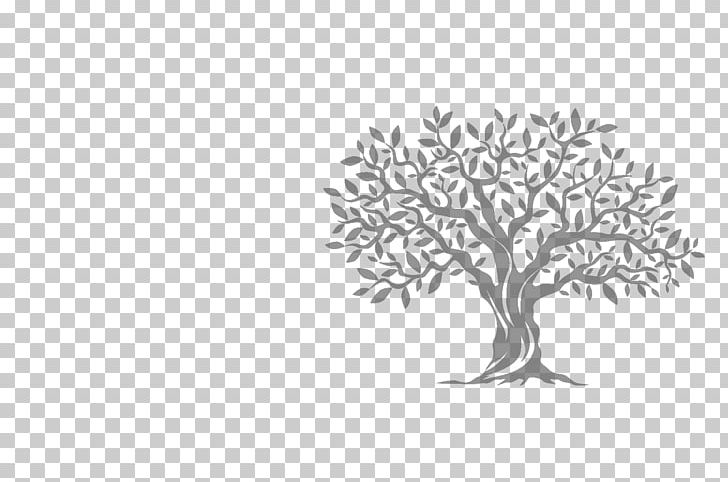 Olive Tree Computer Icons PNG, Clipart, Black And White, Branch, Drawing, Encapsulated Postscript, Flower Free PNG Download