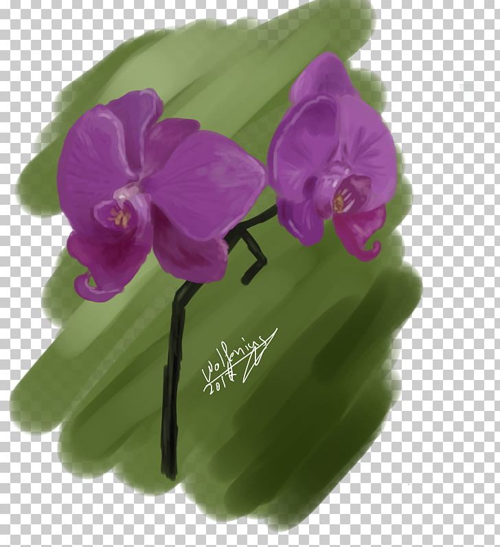 Violet Purple Lilac Magenta Moth Orchids PNG, Clipart, Family, Flower, Flowering Plant, Herbaceous Plant, Lilac Free PNG Download