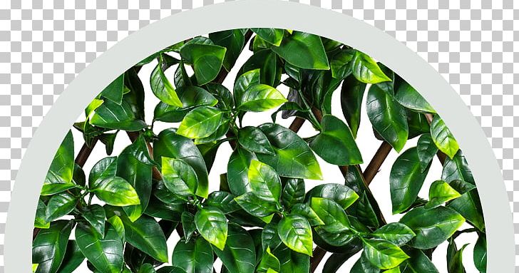 Garden Fence Hedge EasyHedging Instant Artificial Hedging Trellis PNG, Clipart, Common Ivy, Fence, Garden, Gardening, Gate Free PNG Download