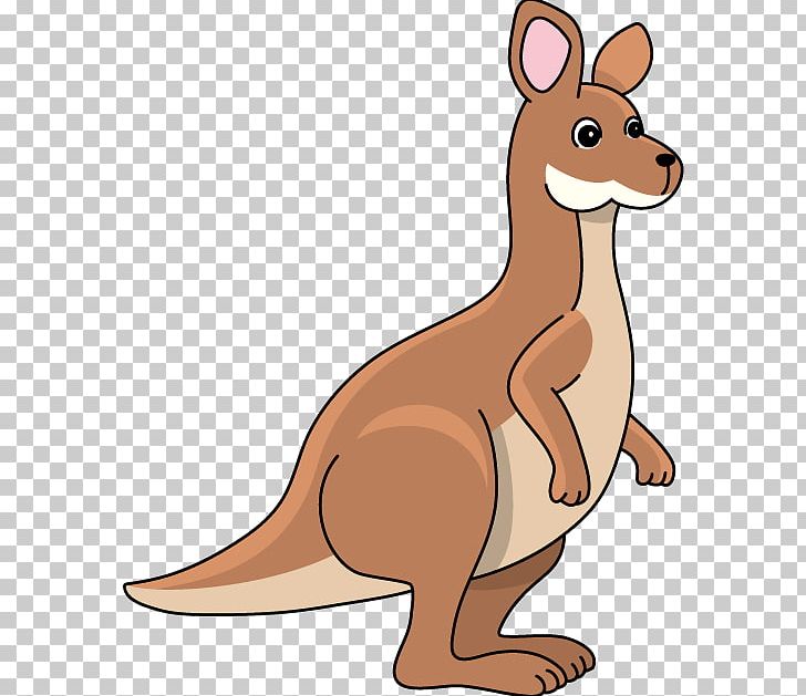 Kangaroo PNG, Clipart, Carnivoran, Cartoon, Clip Art, Computer, Dog Like Mammal Free PNG Download
