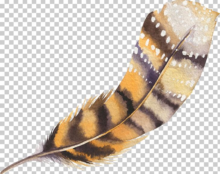 The Floating Feather PNG, Clipart, Animals, Cartoon, Cartoon Feather, Decorative, Decorative Pattern Free PNG Download