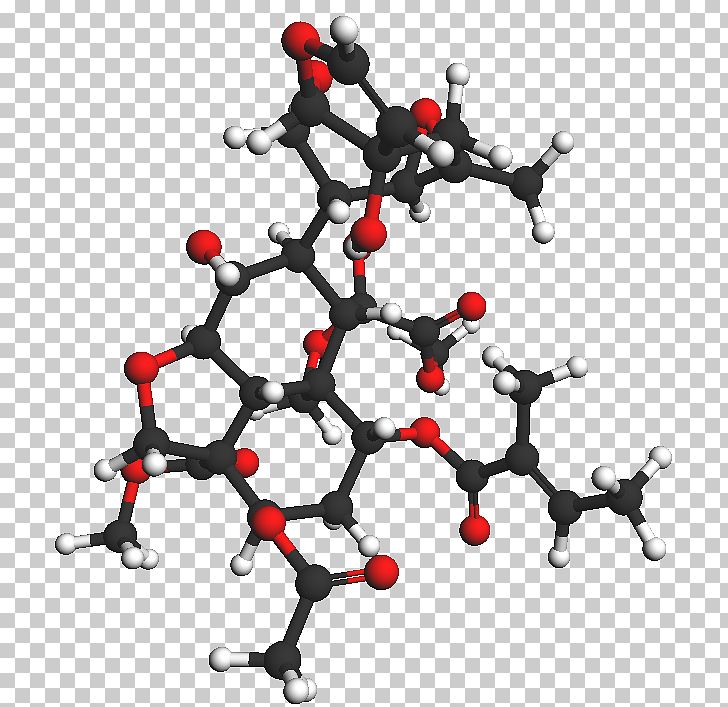 Azadirachtin Neem Tree Organic Chemistry Chemical Compound PNG, Clipart, Azadirachta, Azadirachtin, Body Jewelry, Branch, Chemical Free PNG Download