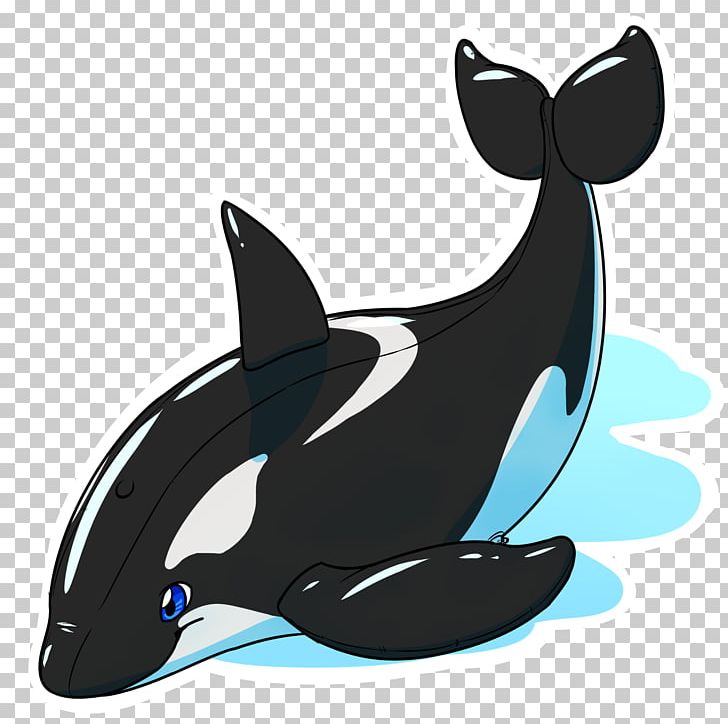 Dolphin Killer Whale Cetacea Sieo New York PNG, Clipart, Animals, Cetacea, Dolphin, Fauna, Fish Free PNG Download
