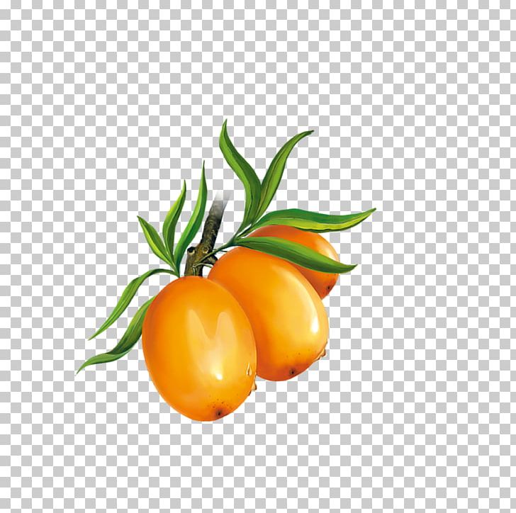 Cherry Tomato Clementine Mandarin Orange Tangerine PNG, Clipart, Auglis, Cherry, Cherry Blossom, Cherry Blossoms, Cherry Tomato Free PNG Download