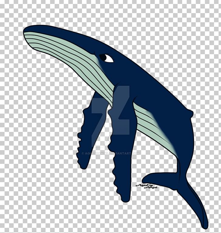 Dolphin Humpback Whale Cetaceans Migaloo Beluga Whale PNG, Clipart, Author, Beluga Whale, Dolphin, Fin, Fish Free PNG Download