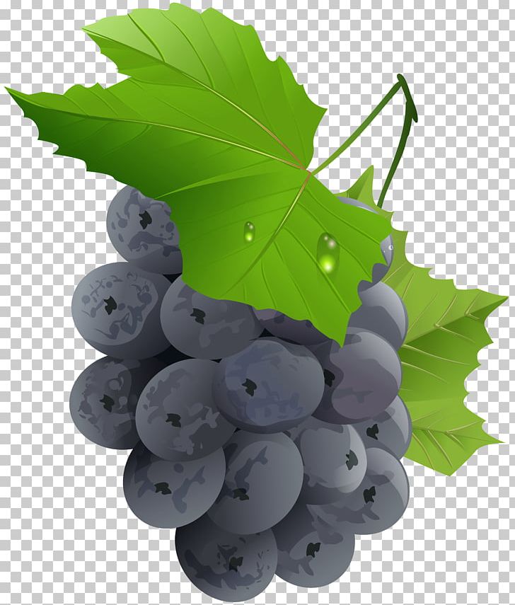 Grape Fruit Vegetable PNG, Clipart, Clipart, Clip Art, Flowering Plant, Food, Fruit Free PNG Download