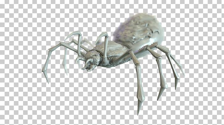 Insect K2 Decapoda Arachnid Anthony McPartlin PNG, Clipart, Animals, Ant, Anthony Mcpartlin, Arachnid, Arthropod Free PNG Download